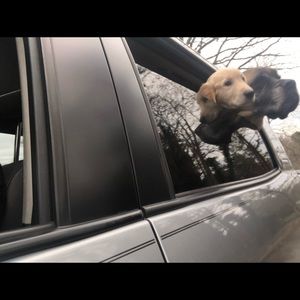 Meet your Posher, Dustin